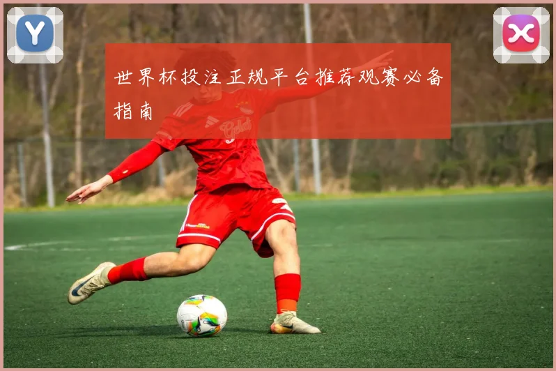 世界杯投注正规平台推荐观赛必备指南