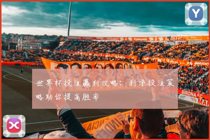 世界杯投注赢利攻略：科学投注策略助你提高胜率
