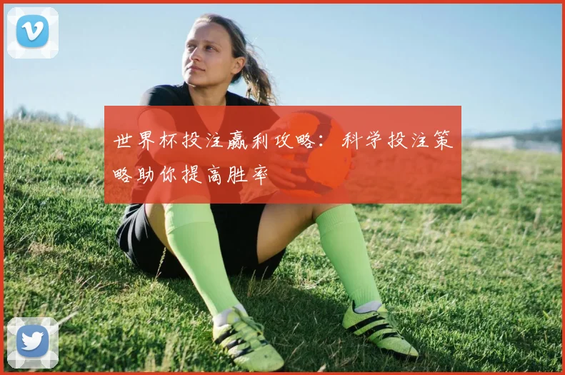 世界杯投注赢利攻略:科学投注策略助你提高胜率