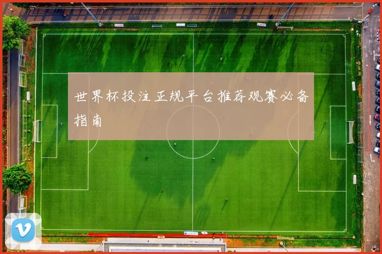 世界杯投注正规平台推荐观赛必备指南